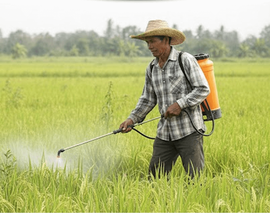 Avid 240 SC 250 ml thumbnail