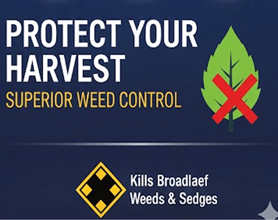 Avid 240 SC 250 ml thumbnail